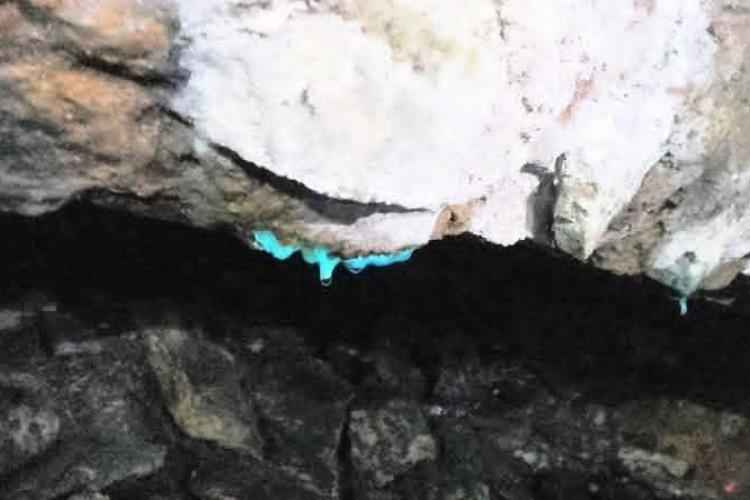 Visite de la mine de Vallauria_Tende