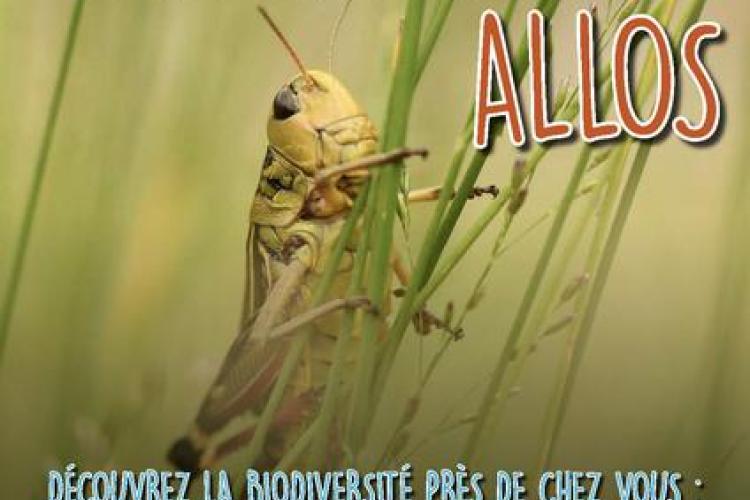 Explor'Nature 2026 à Allos