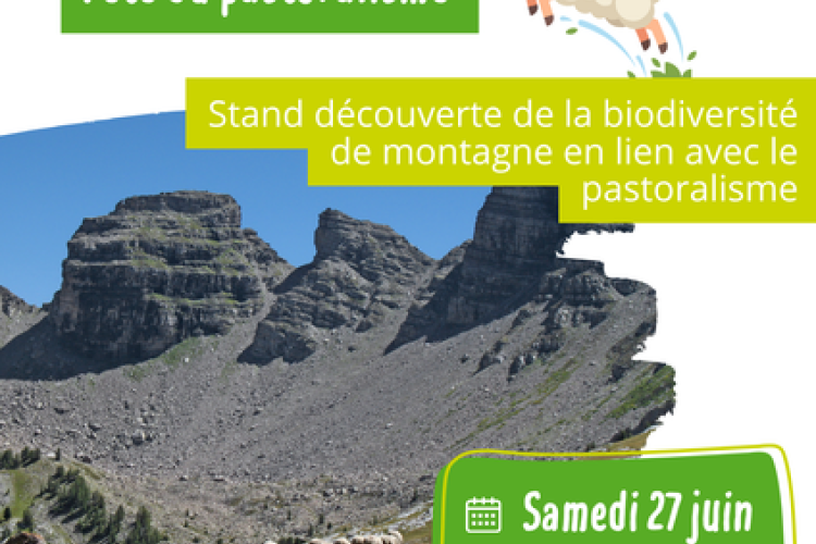 [ABC] Fête du Pastoralisme Allos.png