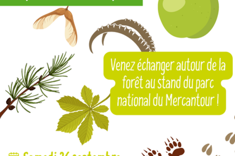 [ABC] Pressés de Valdepom.png