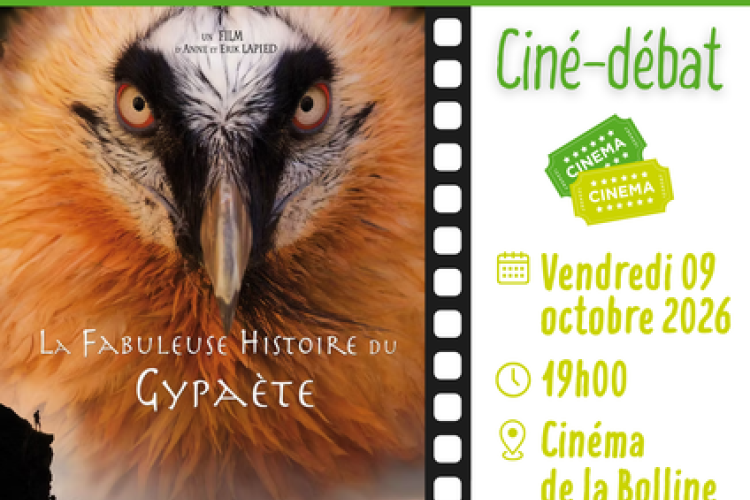 ciné-débat_gypa.png