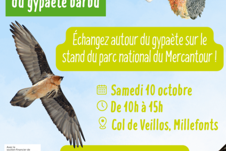 Journée Internationale du GYPAÈTE BARBU avec le Parc National du Mercantour;_Valdeblore
