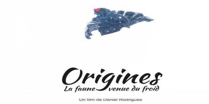 film_origines_la_faune_venue_du_froid.jpg