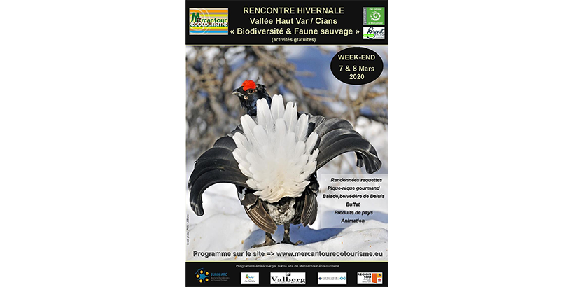 rencontre-hivernale-mercantour.png